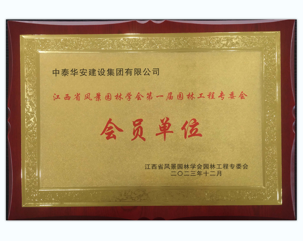 荣誉 中泰集团